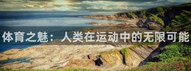 欧亿体育官方正版app神州:体育之魅:人类在运动中的无限可能
