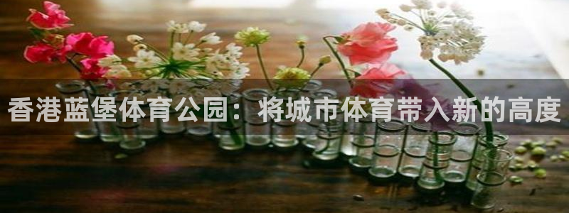 oety欧亿体育官网下载招商电话号码查询:香港蓝堡体育公园: