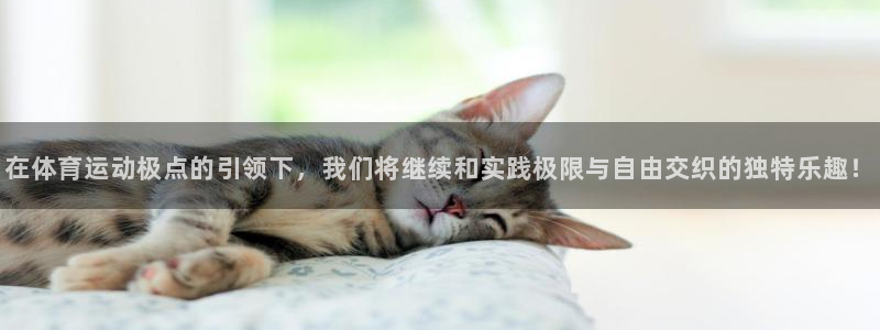 oety欧亿体育官网下载平台假的吗是真的吗吗:在体育运动极点