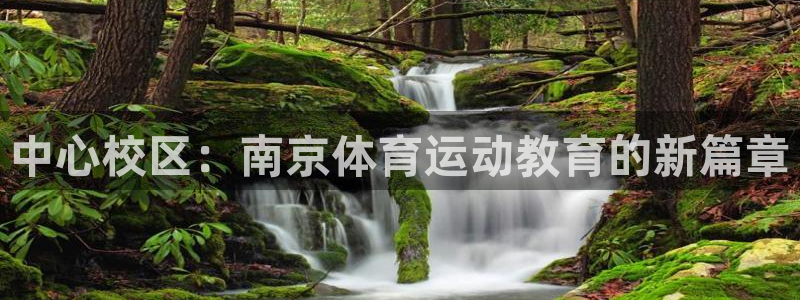 oety欧亿体育官网下载招商电话:中心校区:南京体育运动教育
