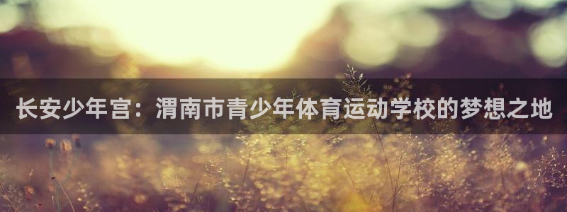 欧亿体育官方正版app新能源:长安少年宫:渭南市青少年体育运