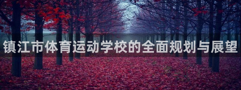 欧亿体育官方正版app官网:镇江市体育运动学校的全面规划与展